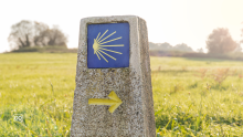 Español A1.43.2 Las señales del camino de Santiago