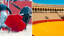 Español A2.19.3 El toro de lidia: una tradición en la cultura española