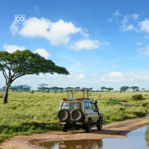  El safari: El safari (Español)