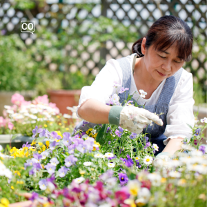  La jardinería: La jardinería (Español)