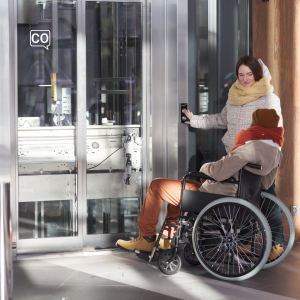  Accesible: Accesible (Español)